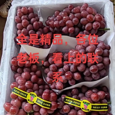 元谋红提大量上市，口感脆甜。
