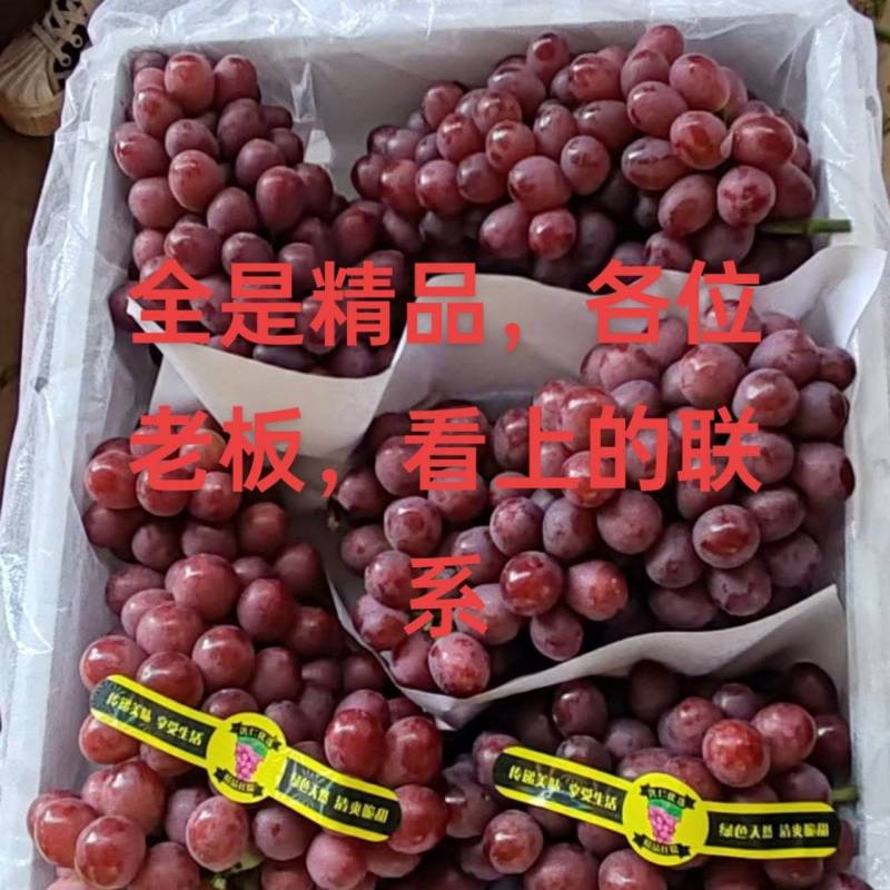 元谋红提大量上市，口感脆甜。