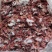 【牛头碎肉】冻牛头缓化剔下来的碎肉！鲜干冻品！炖卤烧均可