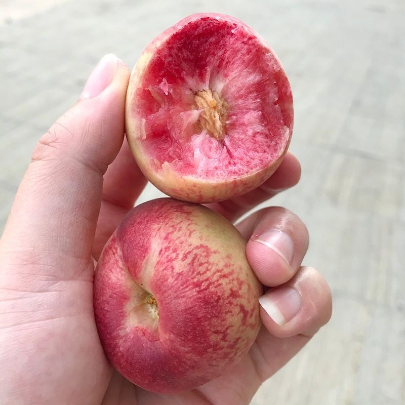 贵州百花桃产地一件代发欢迎电商骚扰