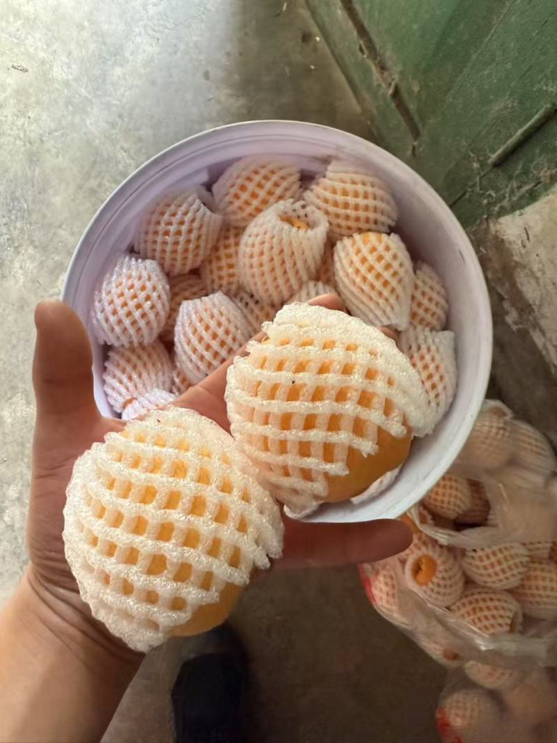 汉源五星枇杷