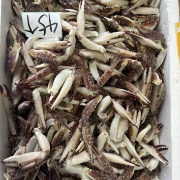 新鲜梭子蟹钳生腌生鲜螃蟹腿沙蟹脚海蟹钳飞蟹钳酒店商用批发