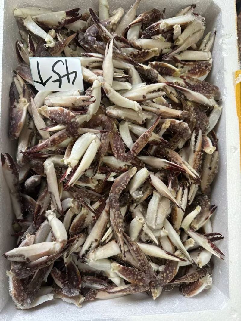 新鲜梭子蟹钳生腌生鲜螃蟹腿沙蟹脚海蟹钳飞蟹钳酒店商用批发
