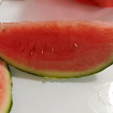 安徽早春红玉，小糖丸西瓜，皮薄囗感脆甜，保证质量。