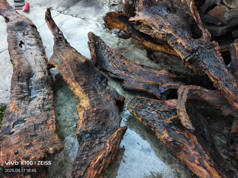 金丝楠木干楠木枯木料有需要请电话联系咨询可视频看货