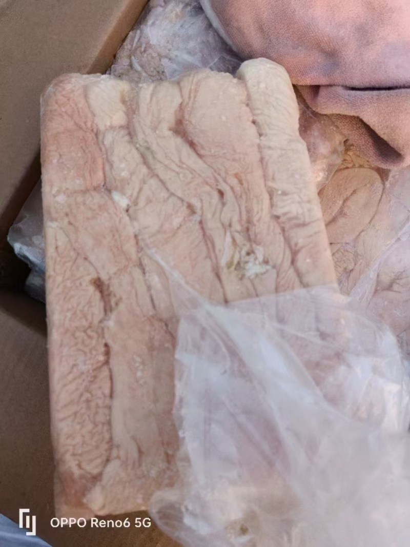 山东临沂新鲜猪大肠头精选猪副产品直供批发
