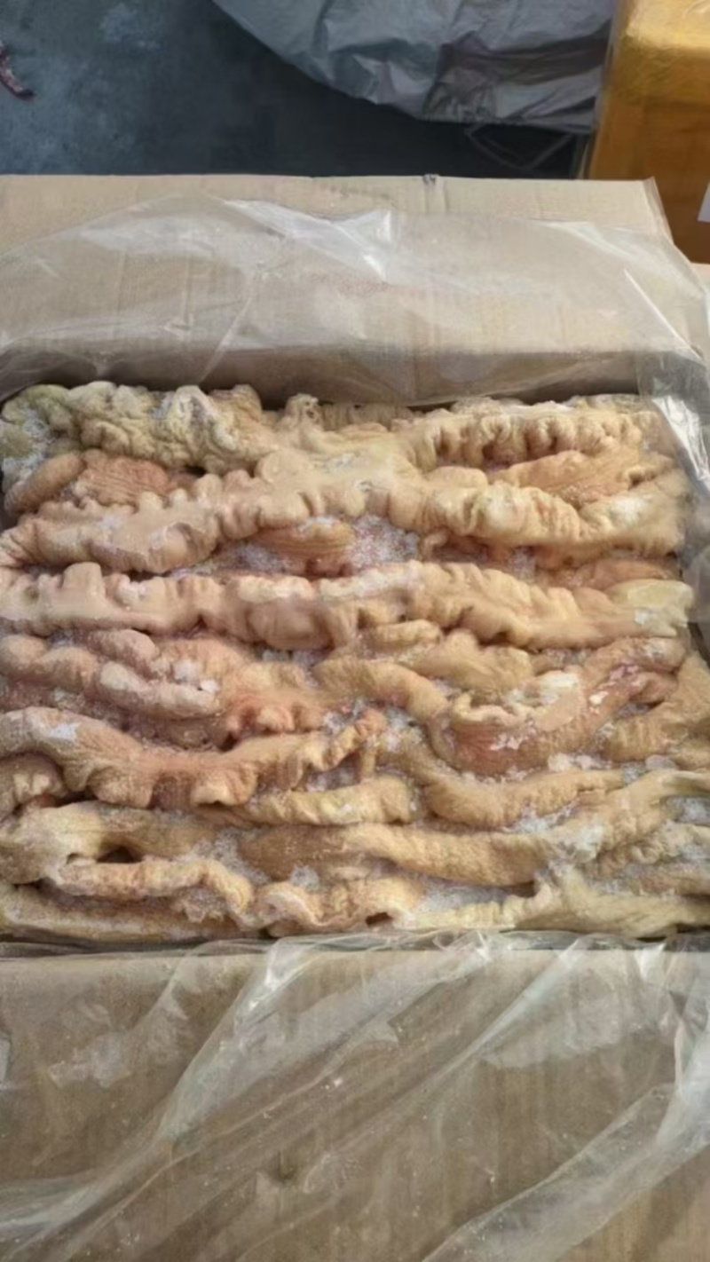 新鲜猪大肠临沂直发精选优质货源全国发货