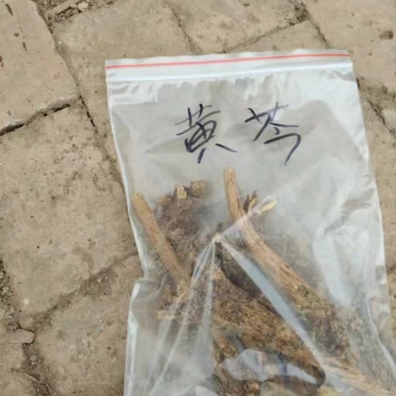 黄芩粉中药材根茎干货价格实惠欢迎联系