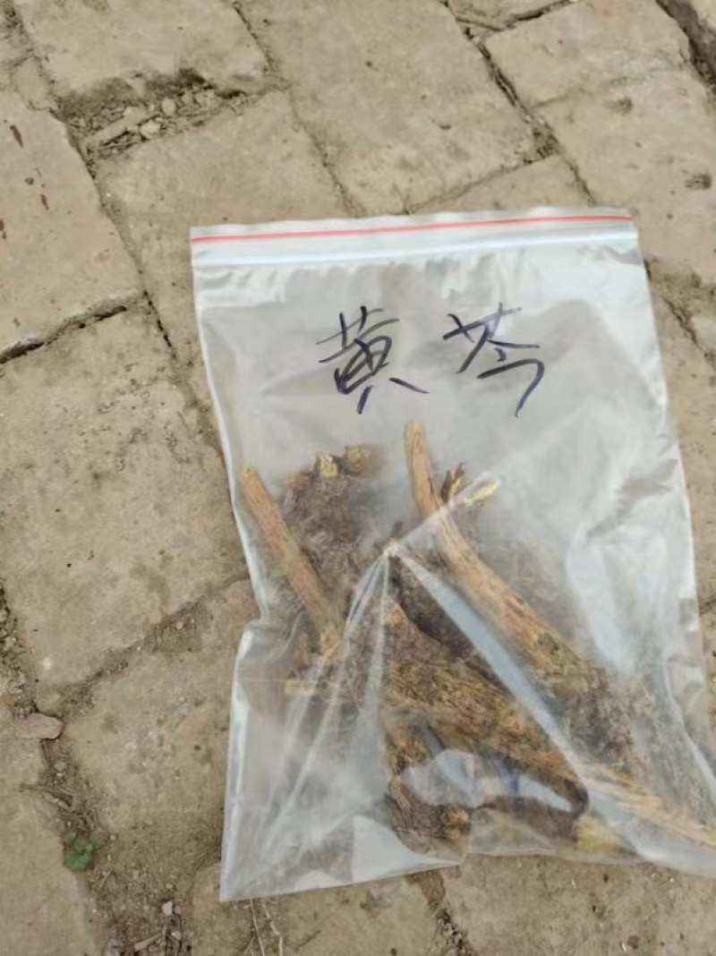 黄芩粉中药材根茎干货价格实惠欢迎联系