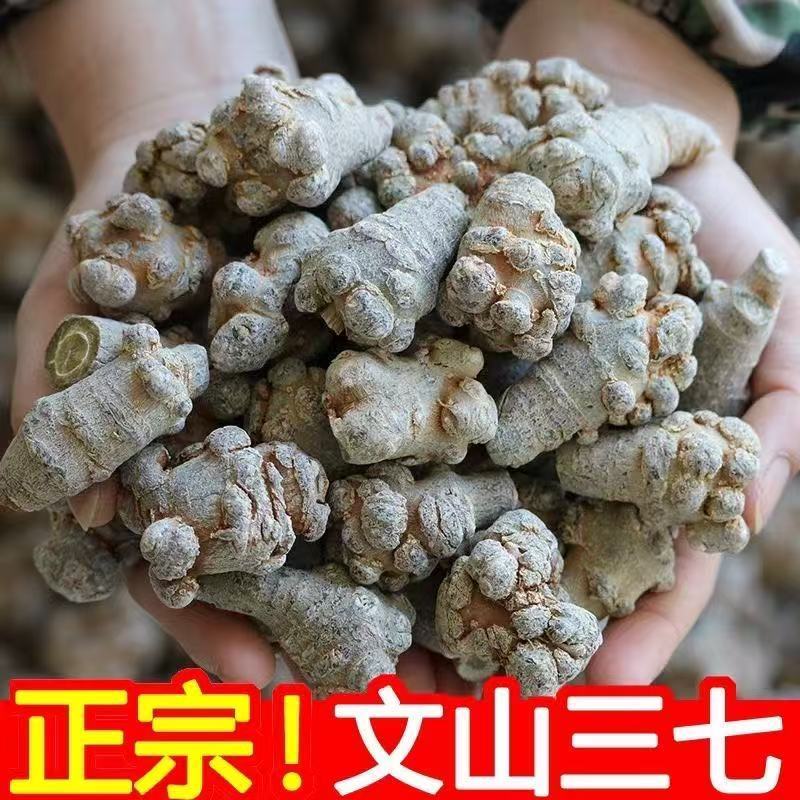 三七文山三七质量保证规格齐全批发零售可免费打粉