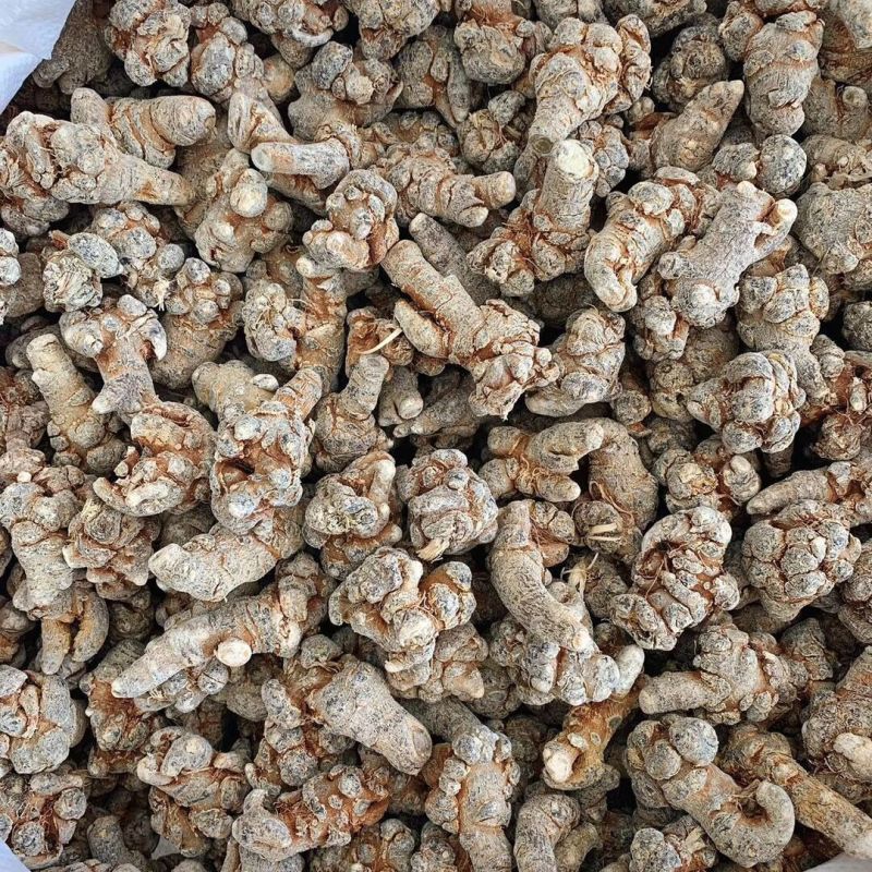 三七文山三七质量保证规格齐全批发零售可免费打粉