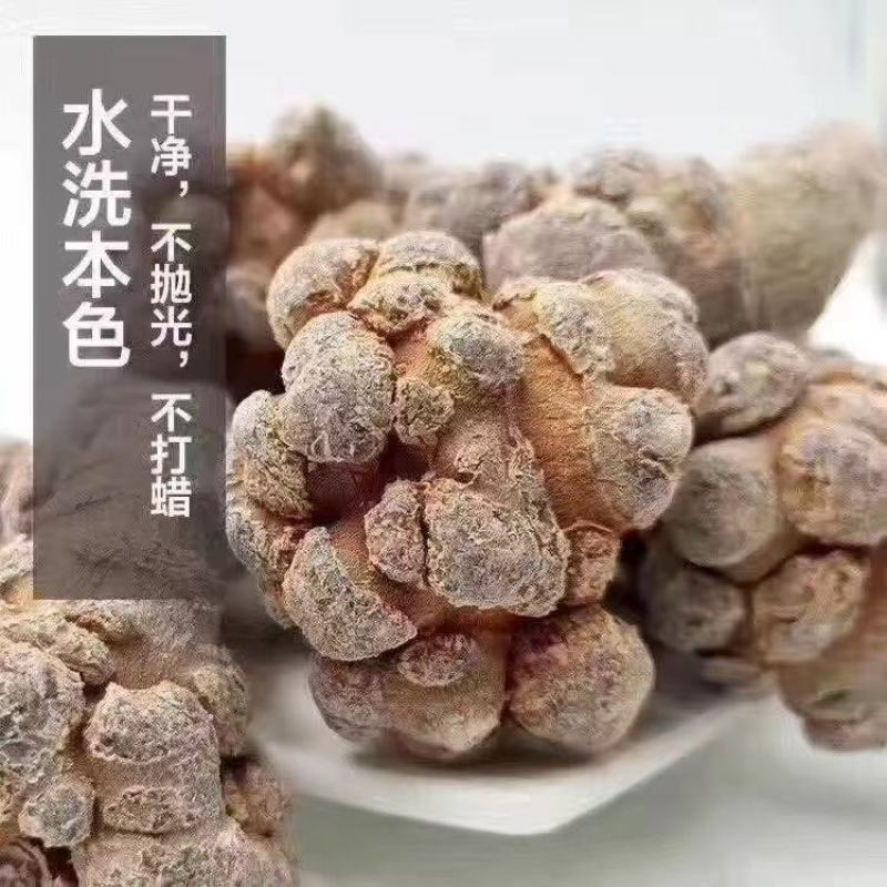 三七文山三七质量保证规格齐全批发零售可免费打粉