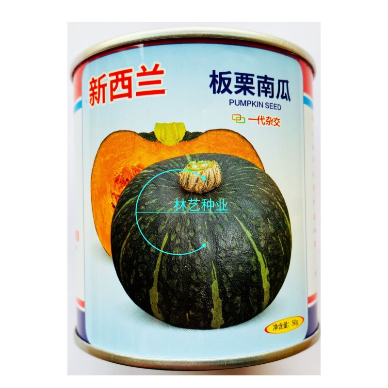 新西兰板栗南瓜种子籽杂交一代大贝贝板栗粉糯香甜南瓜蔬菜