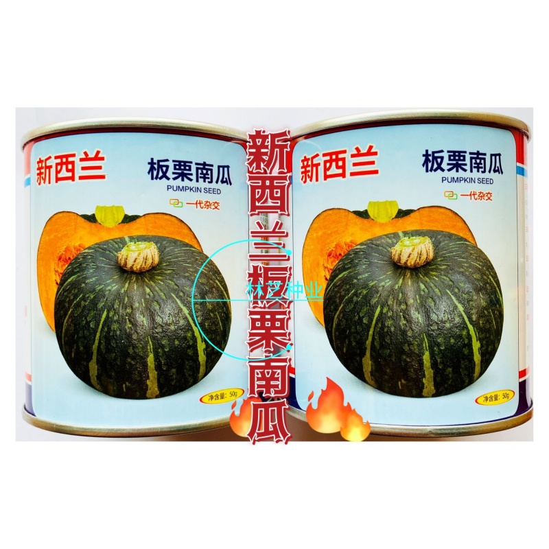新西兰板栗南瓜种子籽杂交一代大贝贝板栗粉糯香甜南瓜蔬菜