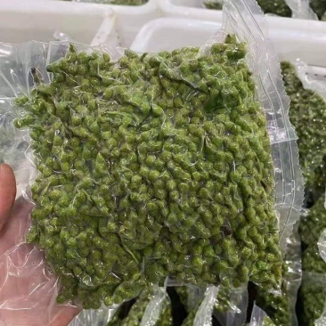 保鲜花椒全网低价350G，批发3块8一袋