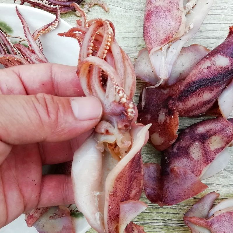新货鱿鱼去内脏海兔墨鱼鱿鱼仔笔管鱼小鱿鱼海兔子海鲜