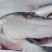青海龙羊峡三文鱼