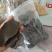 核桃仁饼，保质保量，原厂出货，全国发货。