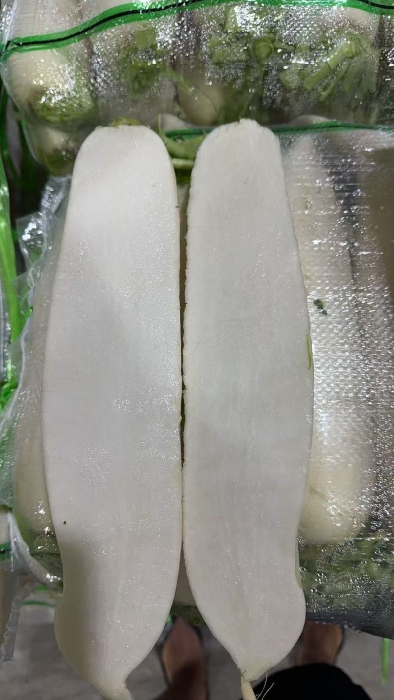 白萝卜泥货，水洗货大量供应，市场，超市，电商养殖都可以