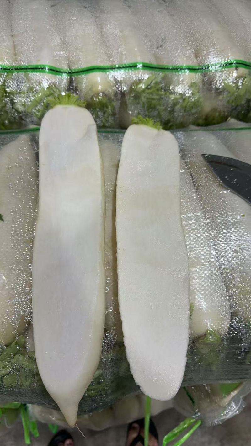 白萝卜泥货，水洗货大量供应，市场，超市，电商养殖都可以