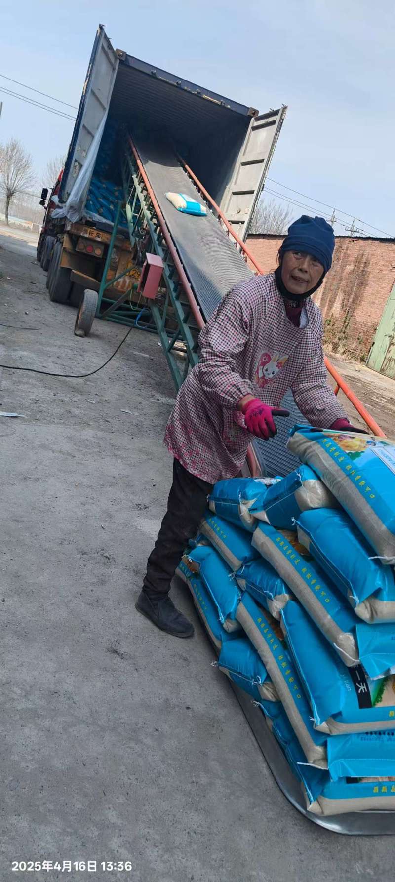 大量供应珍珠米口感佳常年供应详情可电联
