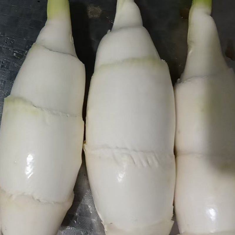 双季瓜