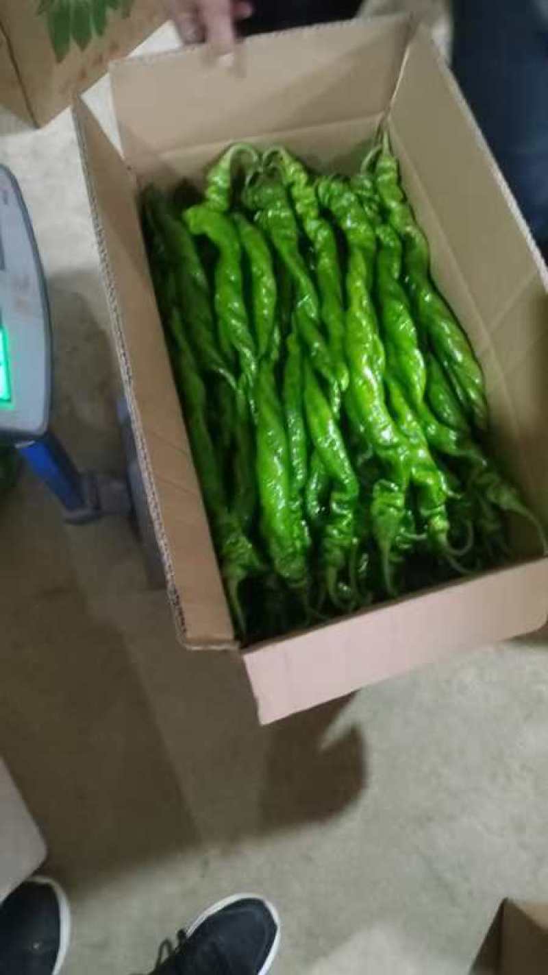 螺丝椒