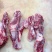 牛肋条牛腹肉条，烤肉火锅食材支持电商市场批发