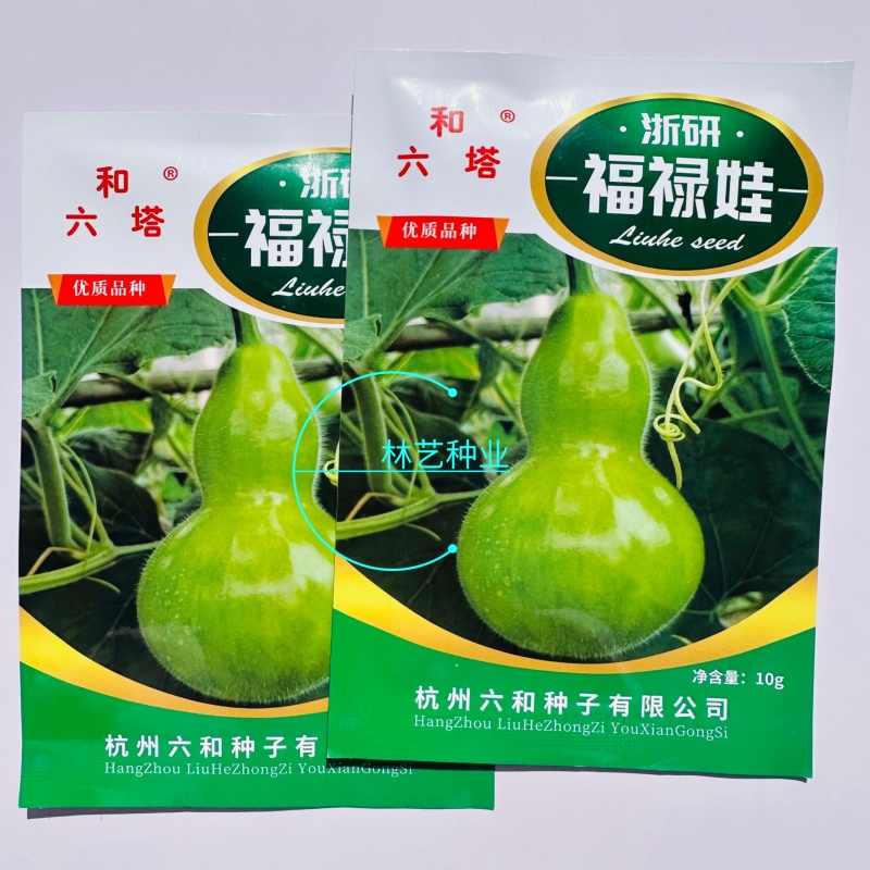 福禄娃葫芦种子早熟亚腰葫芦型葫芦种子有茸毛爬藤观赏葫芦种