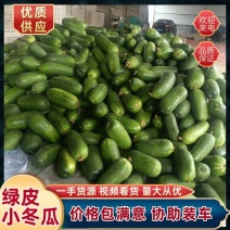 精品绿皮小冬瓜，产地直销，一手货源，长期大量供货