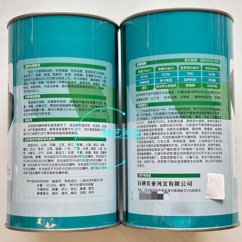 百耕黑菠特菠菜种子老品种塌地菠春秋冬季耐寒耐热菜种红根菠