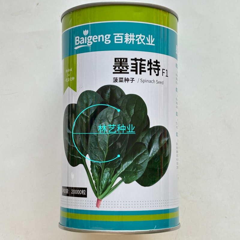 百耕墨菲特菠菜种子一代杂交耐热耐湿耐抗病强高产大田基地