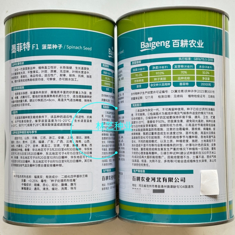 百耕墨菲特菠菜种子一代杂交耐热耐湿耐抗病强高产大田基地