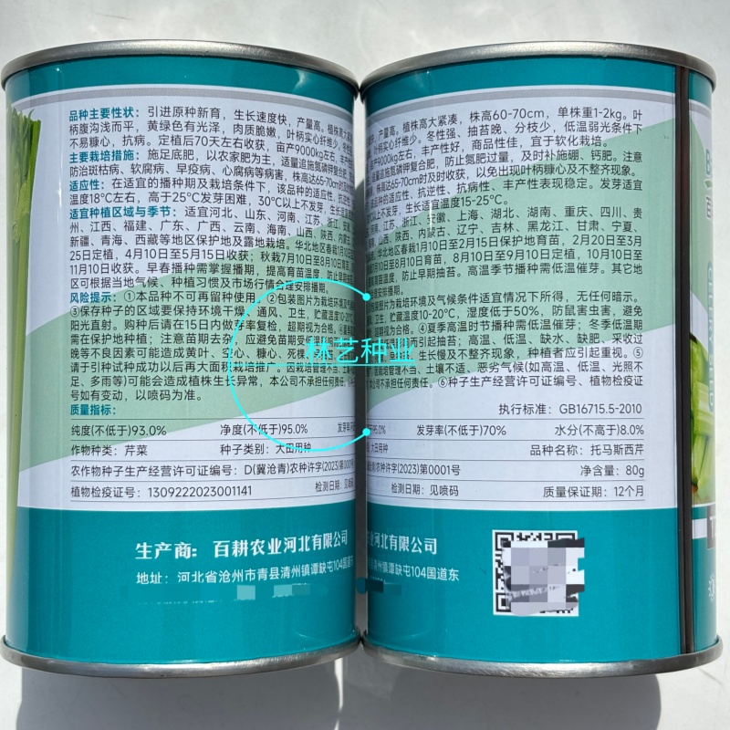 百耕托马斯西芹种子高产抗病耐热耐寒耐抽苔纤维少西芹种籽蔬