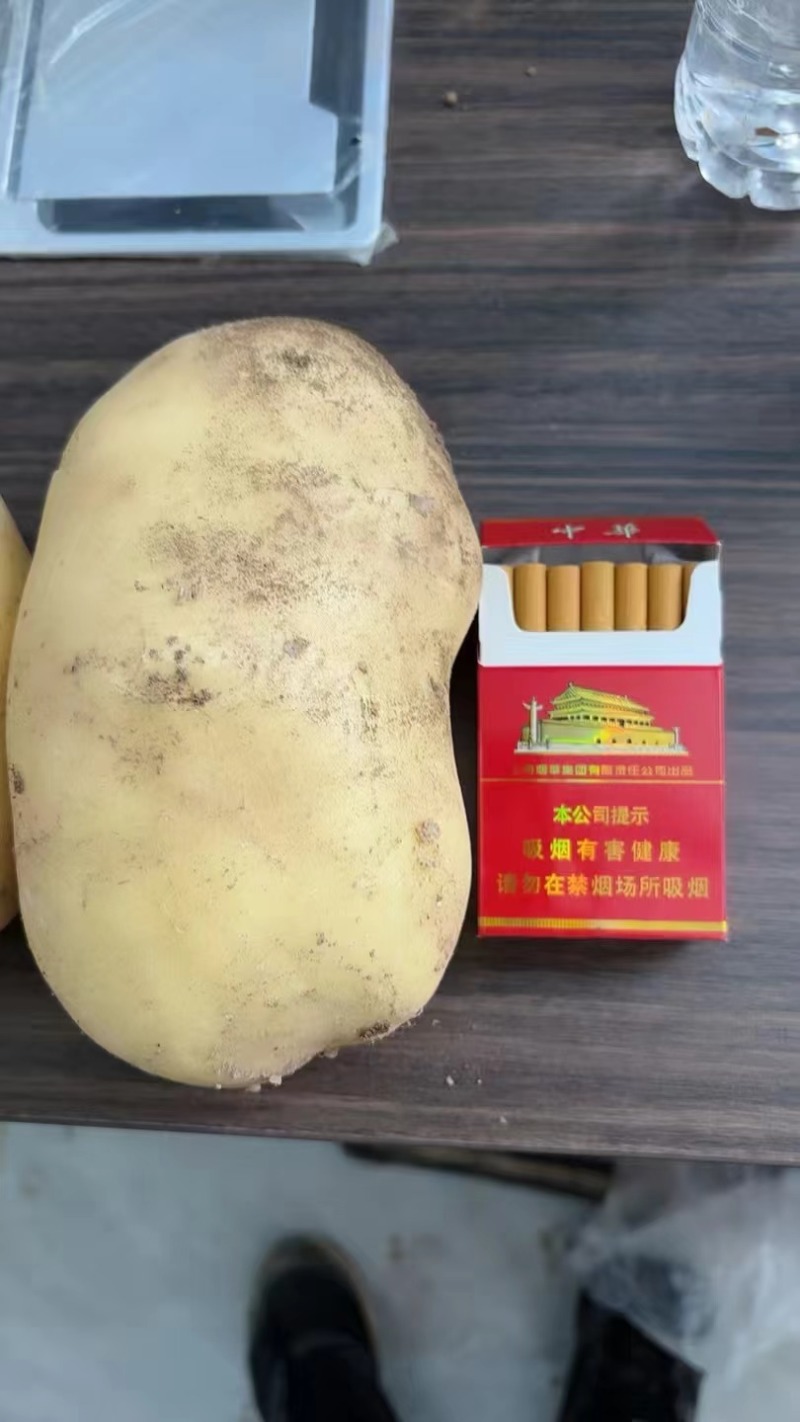 河南新黄心土豆大量有货，一手货源，电商，市场全国发货