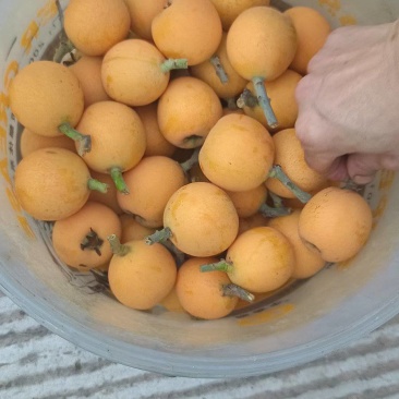 今日价格