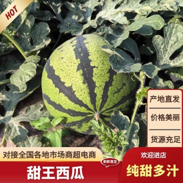 砀山甜王西瓜大量有货，一手货源，对接各大市场、商超…