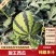 砀山甜王西瓜大量有货，一手货源，对接各大市场、商超…