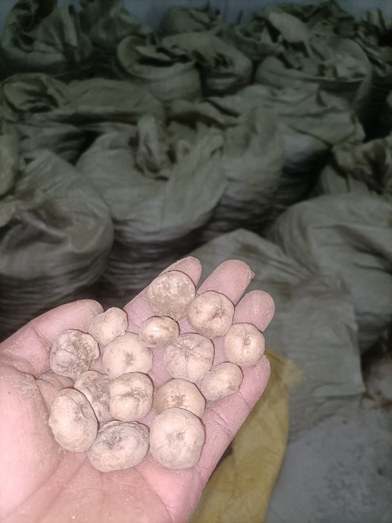 汉中城固，元胡，通货种子，