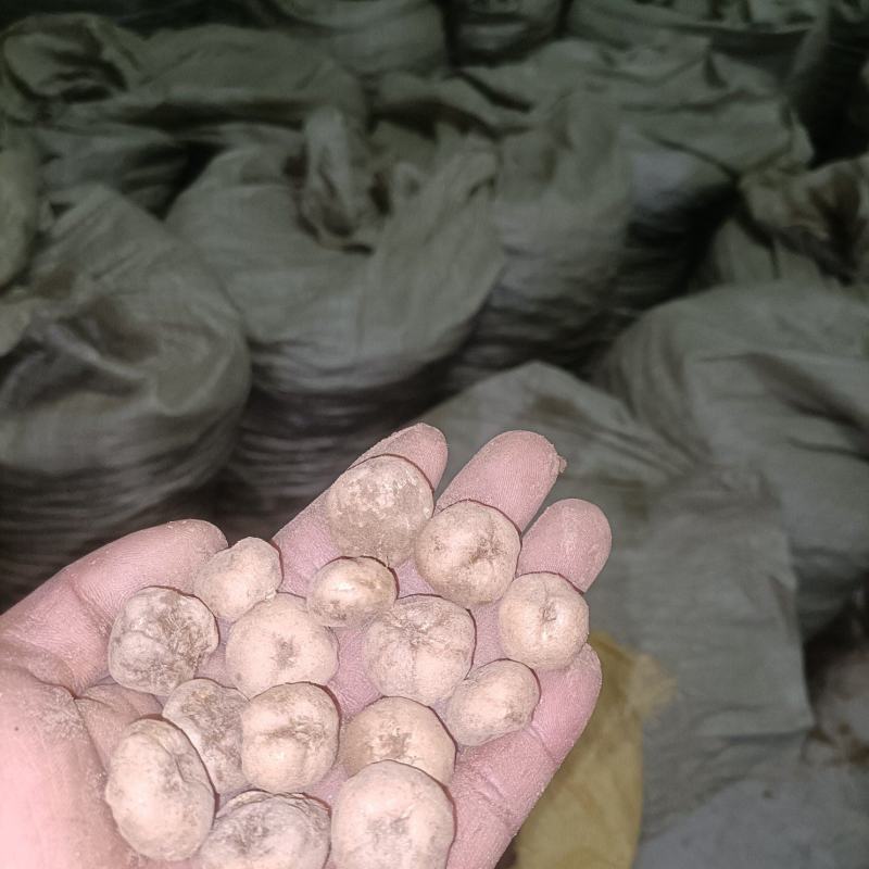 汉中城固，元胡，通货种子，