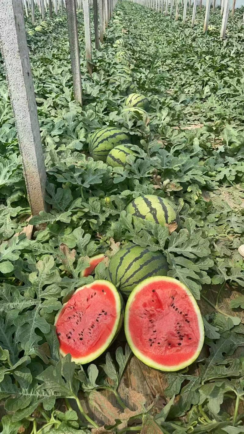 甜王西