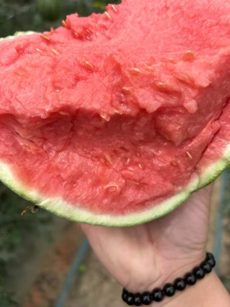 甜王西