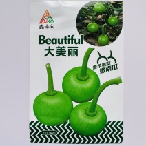 南瓜种子早熟口感好嫩黄肉小南瓜种子青苹果型嫩南瓜种子