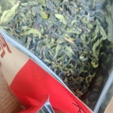 真正的大山春茶！