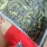 真正的大山春茶！