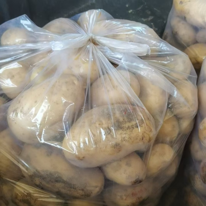 【推荐】沃土黄心土豆大量现货批发货源足价格低信誉高