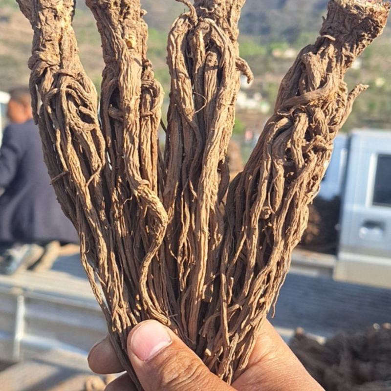 岷归，中华当归甲天下，岷县当归甲中华。量大还可优惠