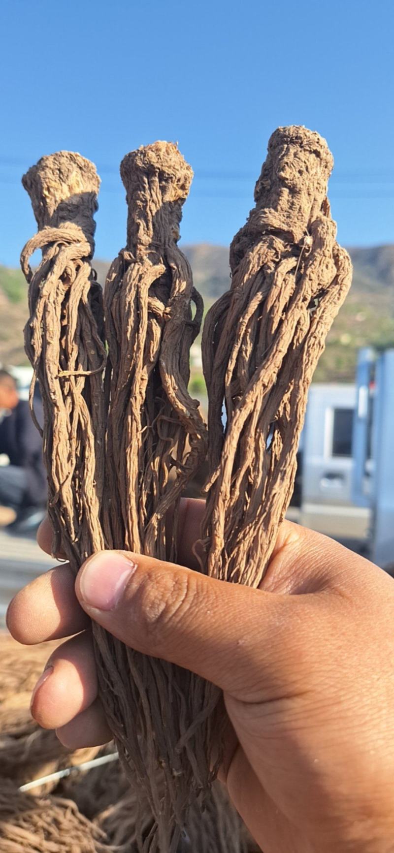 岷归，中华当归甲天下，岷县当归甲中华。量大还可优惠