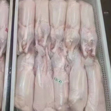 白条鸭