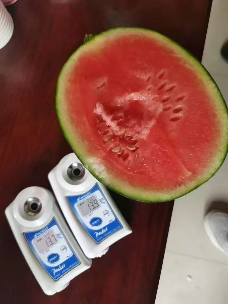 陕西吊兰西瓜大量供应，皮薄瓤红糖度高质量三包